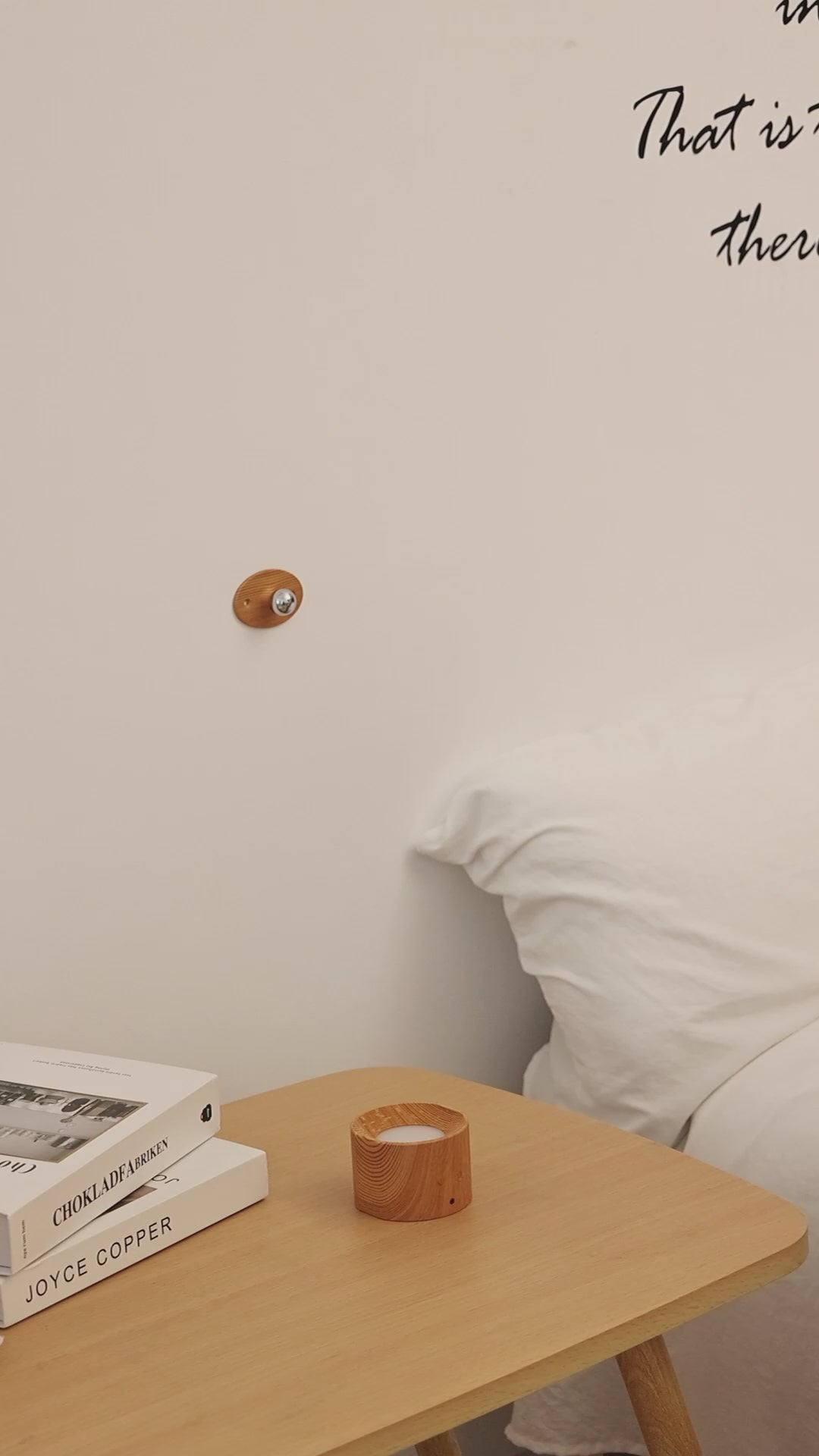 Video of 360 degree rotatable wall light