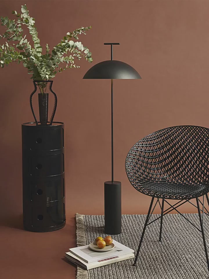 Scandanavian mushroom light video