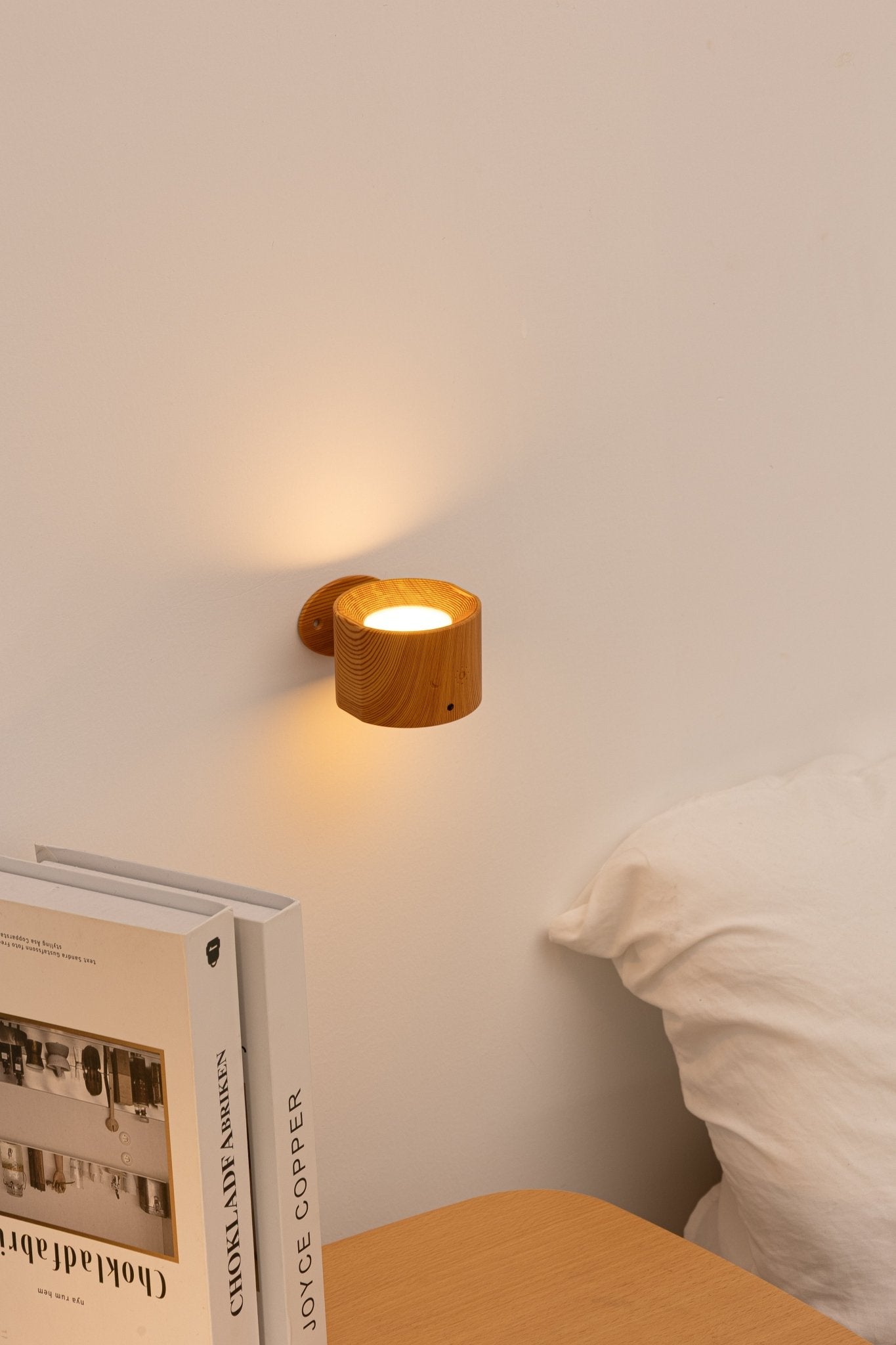 Rotating and Detachable Modern Wall Light - Carry Light