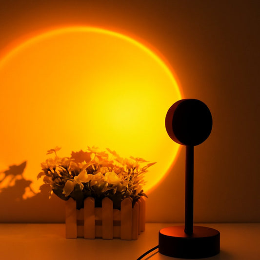 Decorative lamp with a circular light source casting shadows on a wall and a small plant.